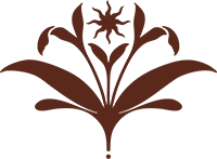 Studio Solena